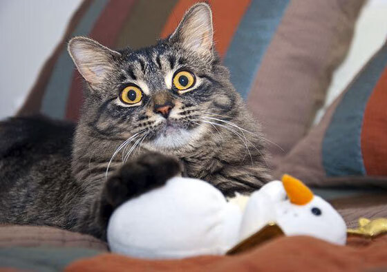 开云下载-76人推出球员“微纪录片”系列，关注成长心路历程，76人 球员