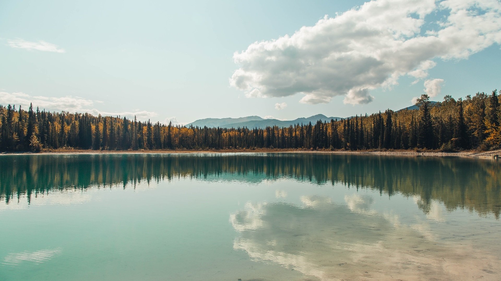 Kaiyun(中国)开云-_世界锦标赛：激烈比拼，谁能登顶？_，看一下世界锦标赛