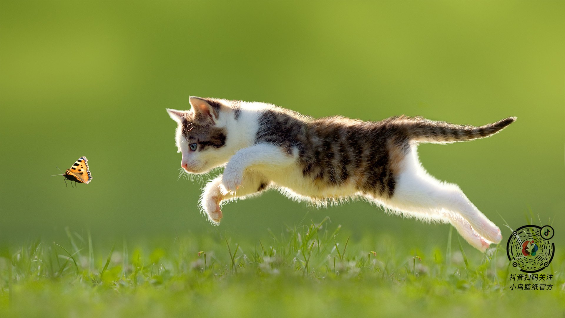 开云官网首页-_热火队的防守坚若磐石，击退对手攻势_，热火队强不强