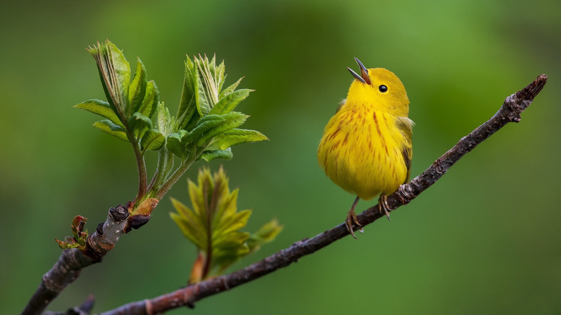kaiyun体育综合-_现场气氛火爆，粉丝欢呼声经久不息！_，现场气氛爆棚