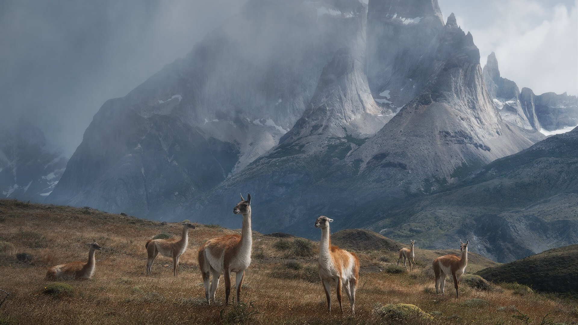 开云中国大陆-_高空深潜体验：探索海底未知领域_，海底未探索区域