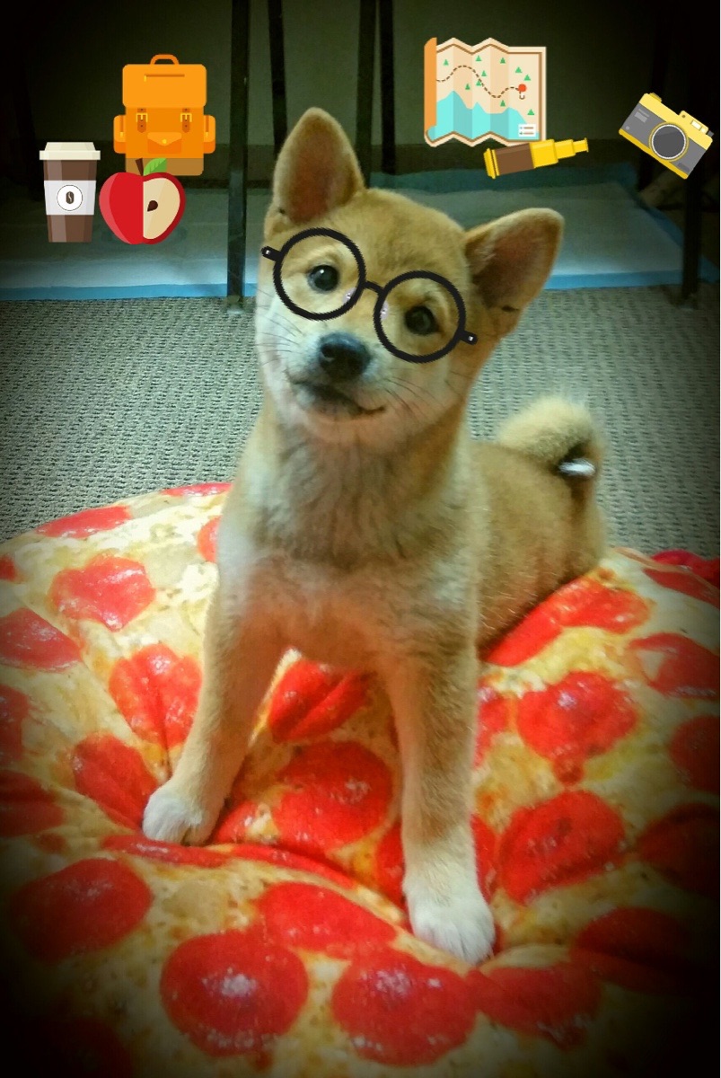 开云首页登录-_高速滚球：虚拟互动运动新玩法_，高速滚球机设备