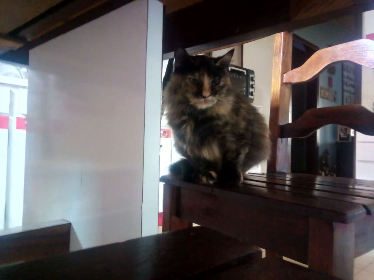 “中超联赛各大豪门展现强大实力，冠军竞争愈发激烈”，中超传统豪门排名