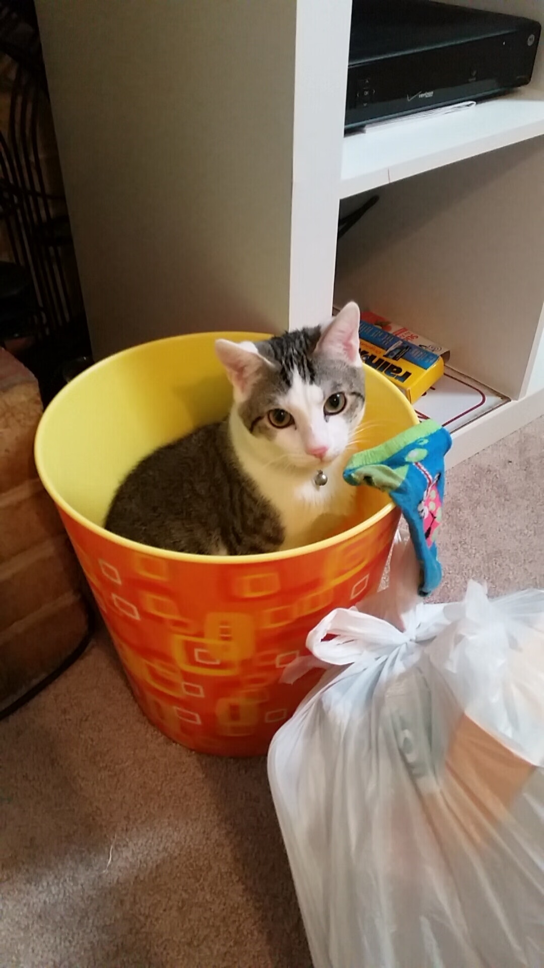 开云·体育官方网站入口-“法甲豪门争斗激烈，巅峰对决不停歇”，法甲豪门球队