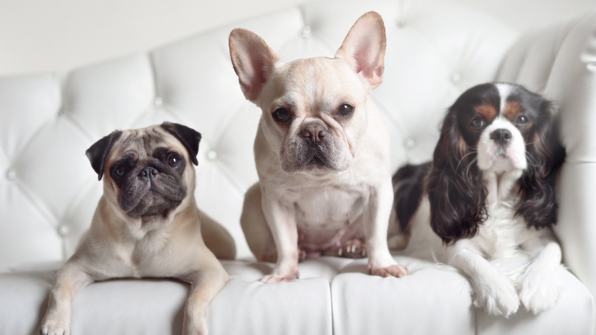 开云kaiyun-“足球后备人才培养计划在全国产生深远影响”，中国足球后备人才培养