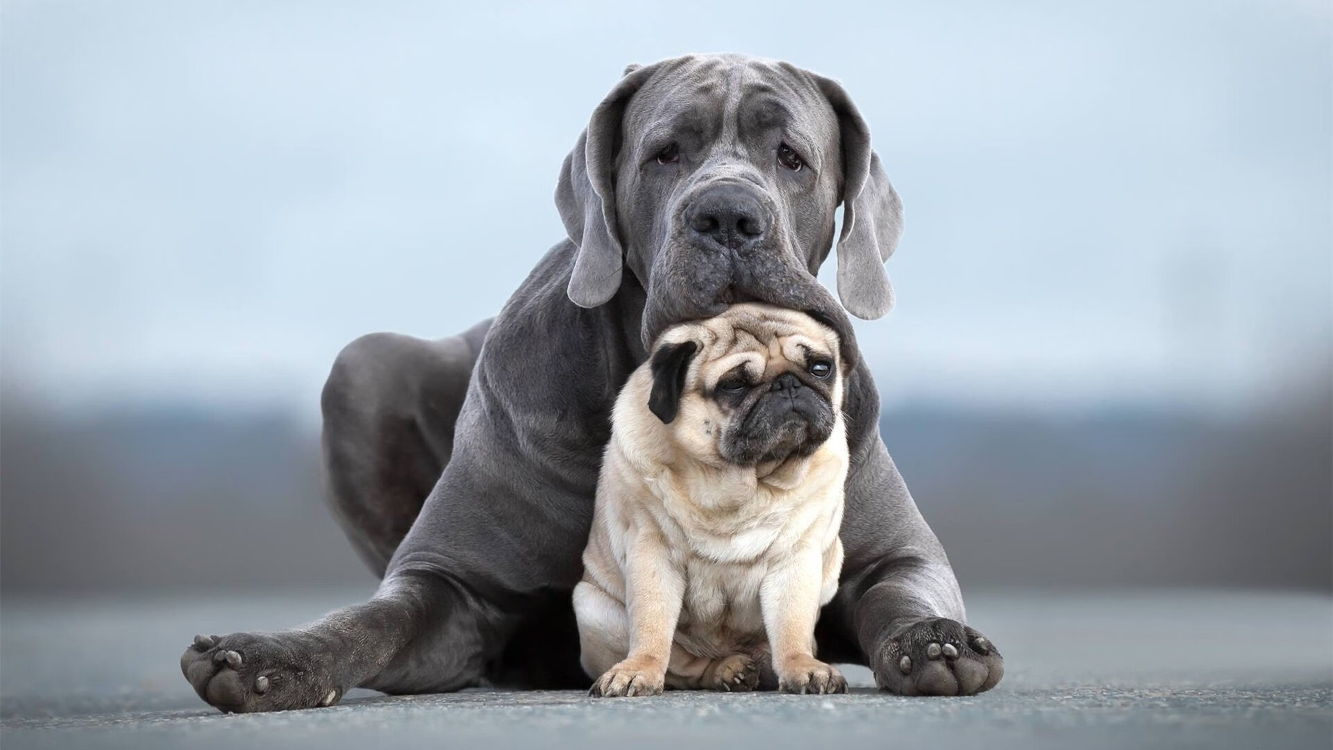 开云下载-《CS_GO超级赛，豪门强队激战正酣》，csgo超级联赛直播