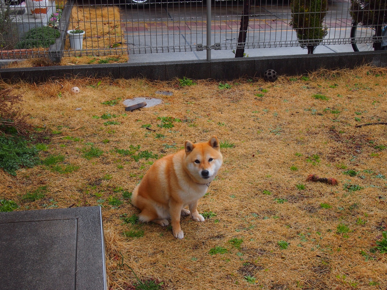 开云官网在线-场上英雄：李明全面爆发，攻防兼备！