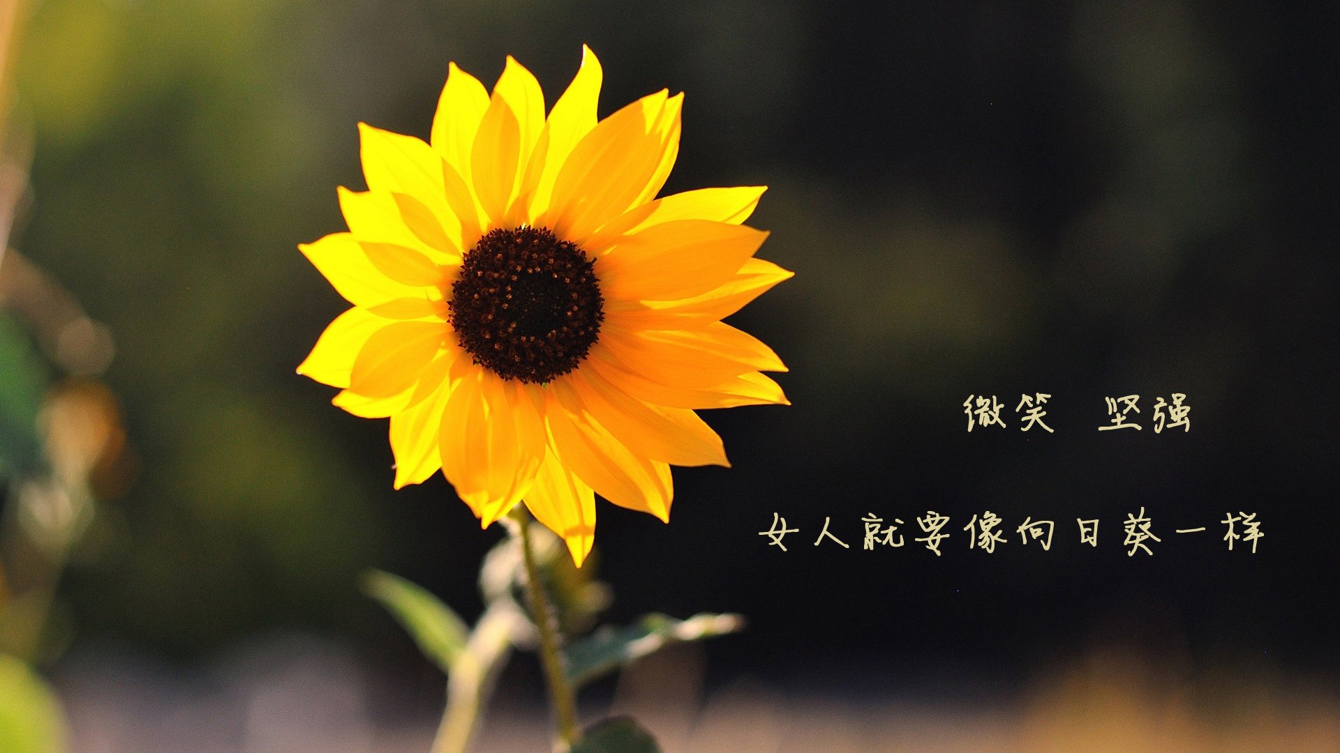 kaiyun官方入口登录-青少年篮球季后赛精彩纷呈，关注度持续走高，青少年篮球赛视频