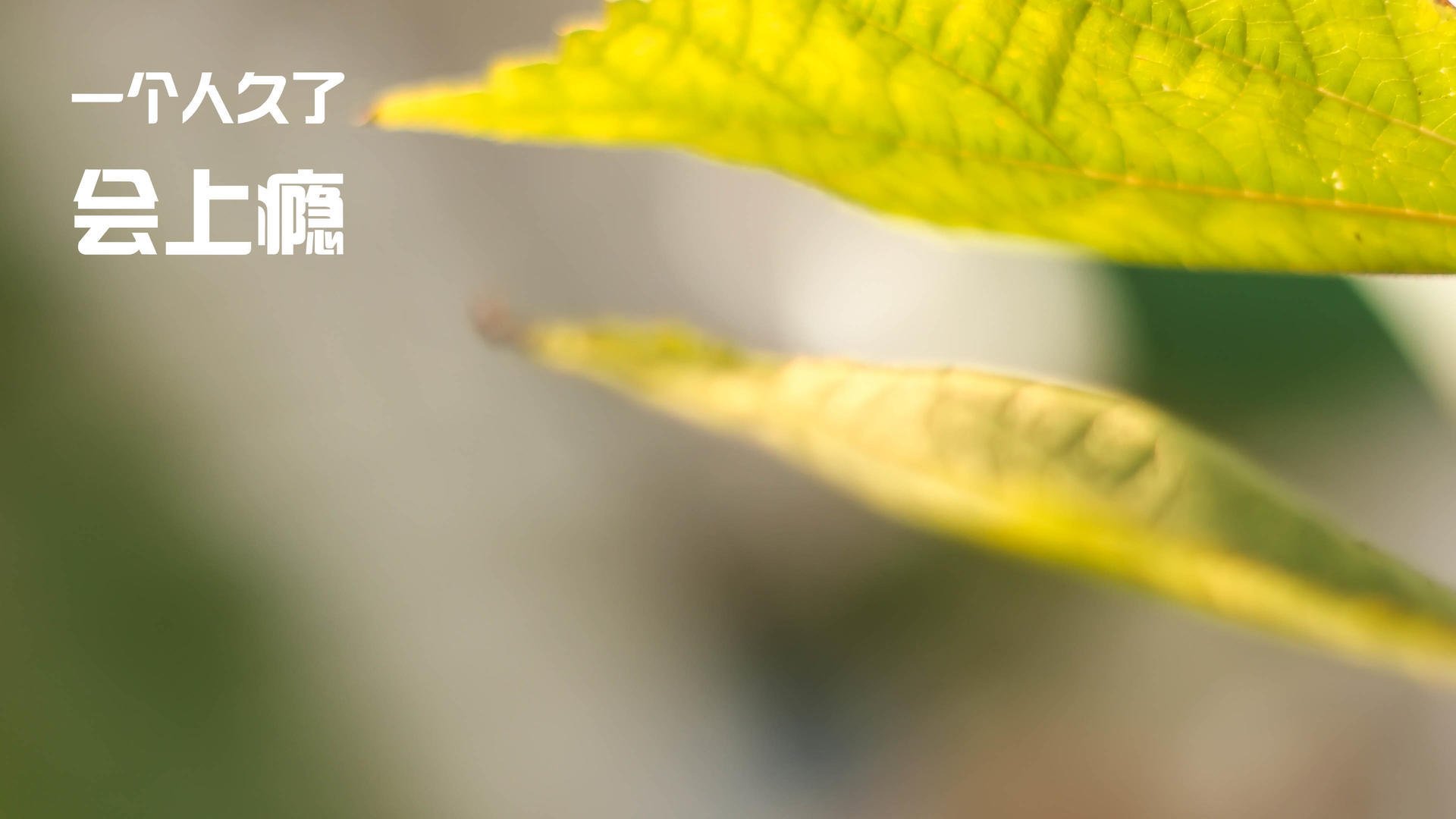 kaiyun体育app-球员之间的私人关系会影响场上表现吗，球员与球队的关系